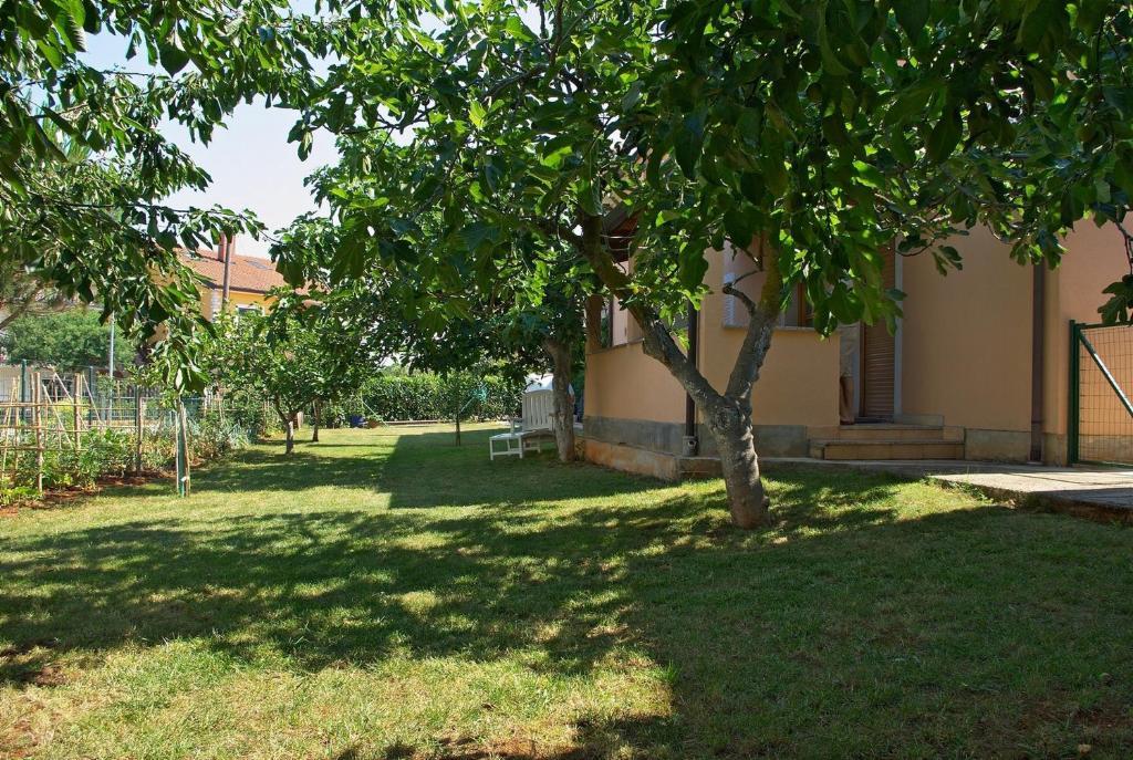 Apartments & Rooms Barbara Umago Exterior foto