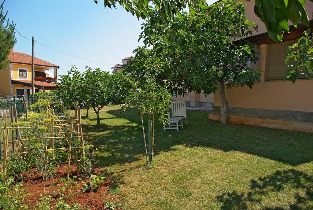 Apartments & Rooms Barbara Umago Exterior foto